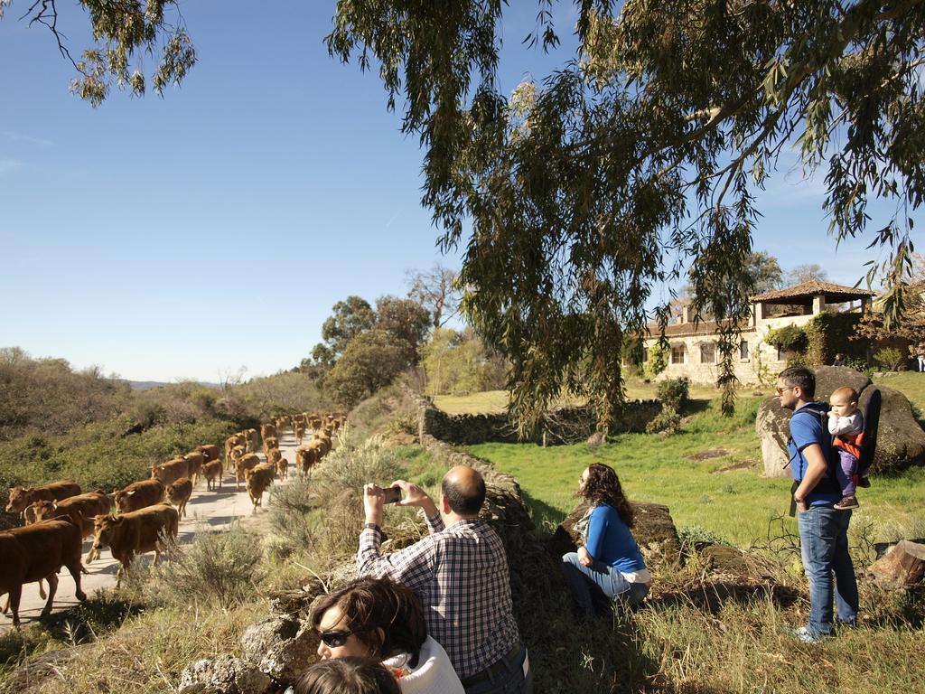 Casa Rural El Cabezo San Martin De Trevejo Luaran gambar